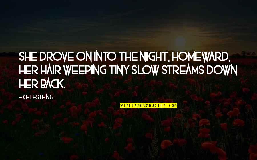 Chubi Del Quotes By Celeste Ng: She drove on into the night, homeward, her Chubi Del Quotes By Celeste Ng: She drove on into the night, homeward, her