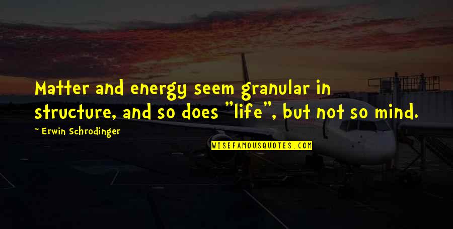 Chuck Knowles Quotes By Erwin Schrodinger: Matter and energy seem granular in structure, and