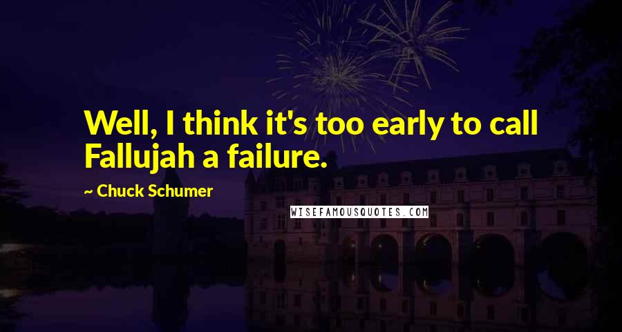 Chuck Schumer quotes: Well, I think it's too early to call Fallujah a failure.