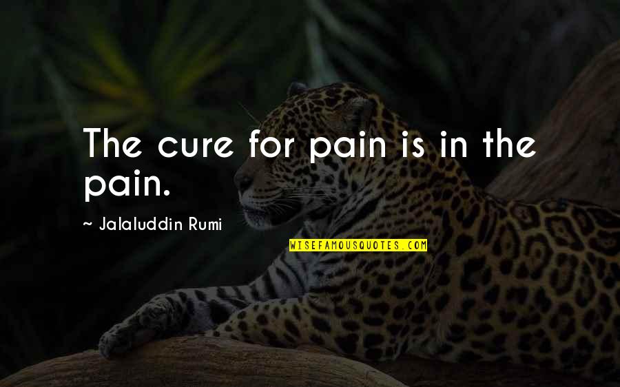 Chuck Tingle Book Quotes By Jalaluddin Rumi: The cure for pain is in the pain. Chuck Tingle Book Quotes By Jalaluddin Rumi: The cure for pain is in the pain.