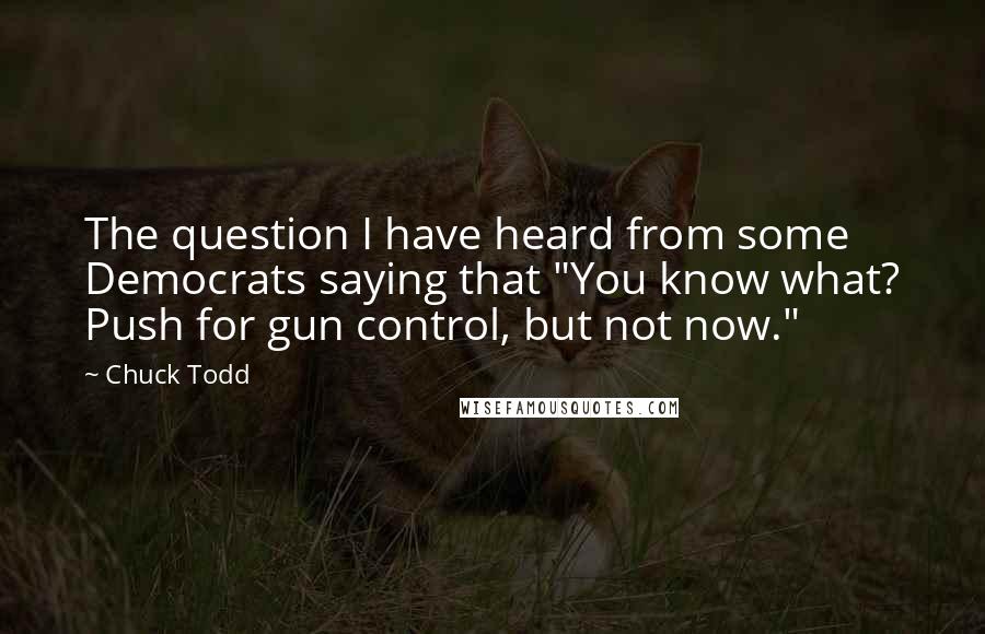 Chuck Todd quotes: The question I have heard from some Democrats saying that "You know what? Push for gun control, but not now."