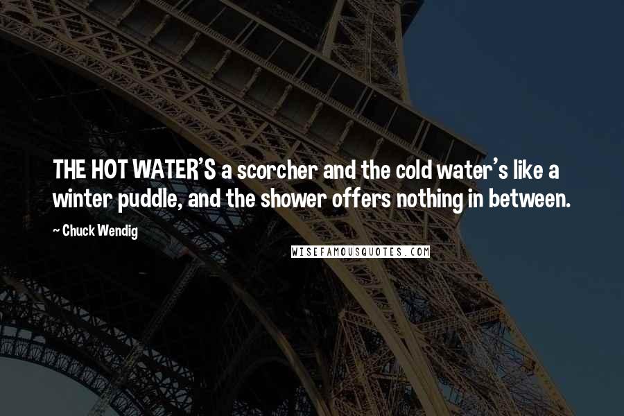 Chuck Wendig quotes: THE HOT WATER'S a scorcher and the cold water's like a winter puddle, and the shower offers nothing in between.