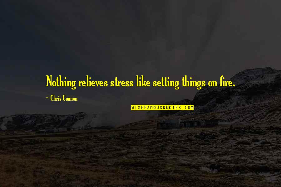 Chuckles Gi Quotes By Chris Cannon: Nothing relieves stress like setting things on fire.