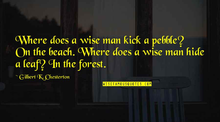 Chucky 2 Quotes By Gilbert K. Chesterton: Where does a wise man kick a pebble? Chucky 2 Quotes By Gilbert K. Chesterton: Where does a wise man kick a pebble?