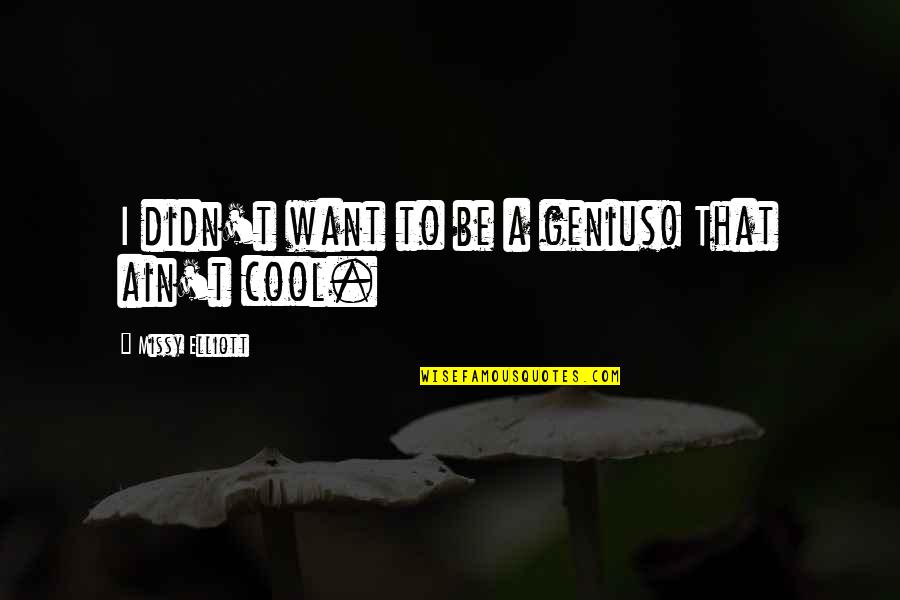 Chuek Pelicula Quotes By Missy Elliott: I didn't want to be a genius! That Chuek Pelicula Quotes By Missy Elliott: I didn't want to be a genius! That