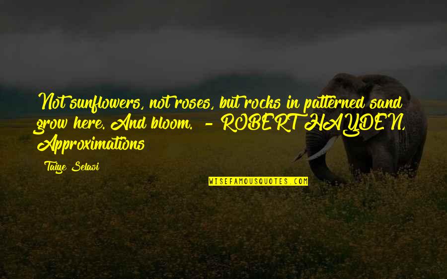 Chumbo Quotes By Taiye Selasi: Not sunflowers, not roses, but rocks in patterned Chumbo Quotes By Taiye Selasi: Not sunflowers, not roses, but rocks in patterned