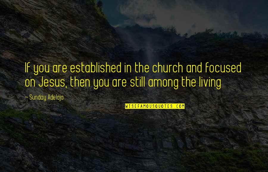 Church And Money Quotes By Sunday Adelaja: If you are established in the church and