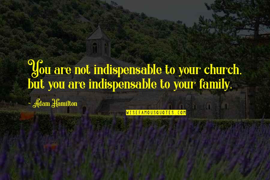 Church Is Family Quotes By Adam Hamilton: You are not indispensable to your church, but