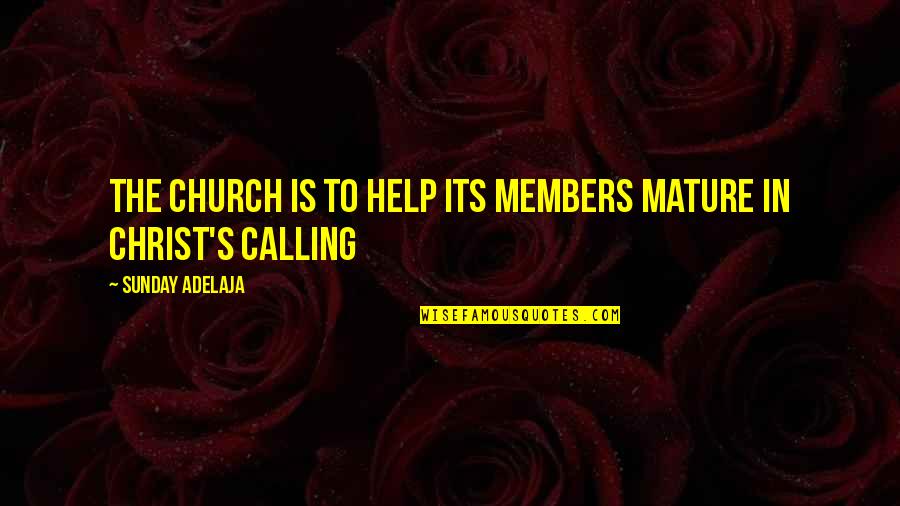 Church Members Quotes By Sunday Adelaja: The church is to help its members mature