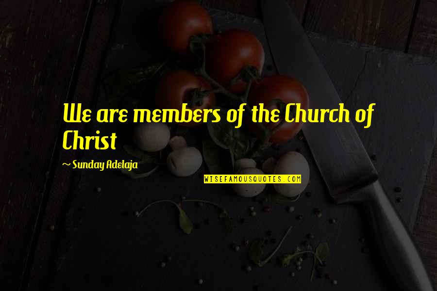 Church Of Christ Quotes By Sunday Adelaja: We are members of the Church of Christ