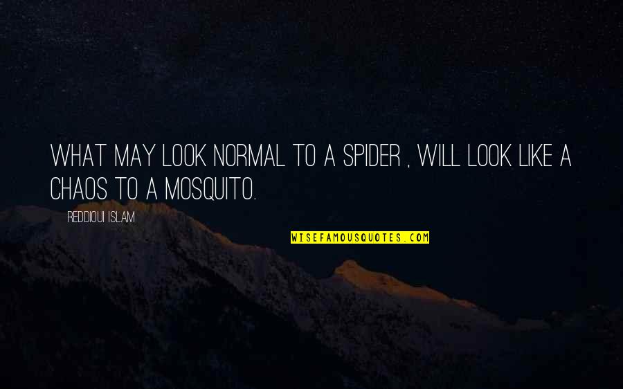 Church Picnics Quotes By Reddioui Islam: What may look normal to a spider ,