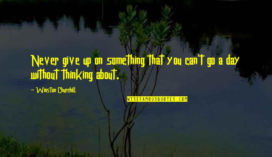 Churchill Never Give Up Quotes By Winston Churchill: Never give up on something that you can't