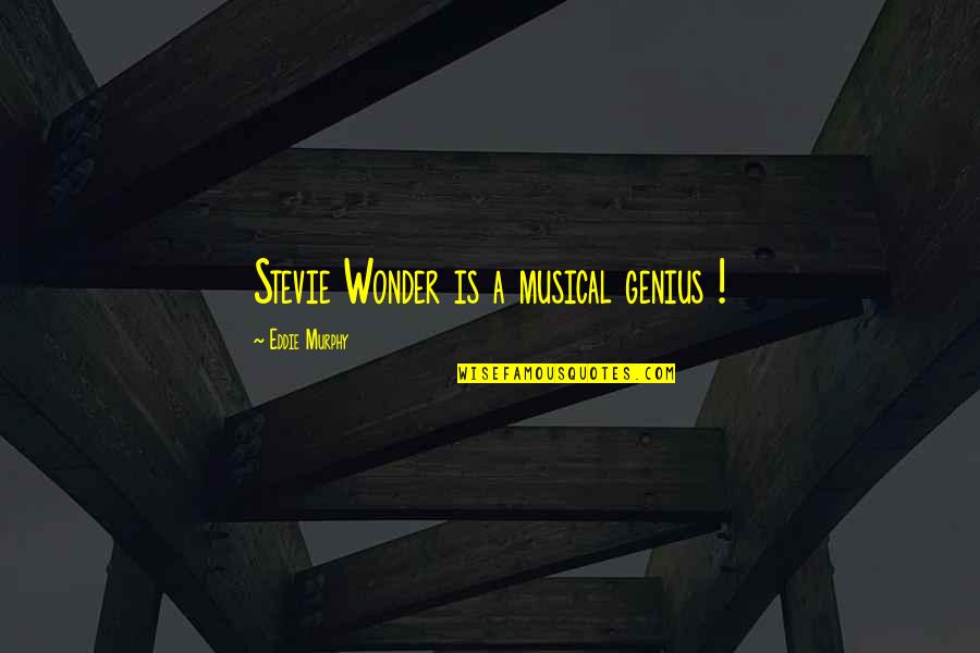 Churned Quotes By Eddie Murphy: Stevie Wonder is a musical genius !