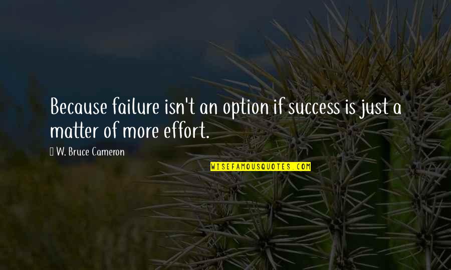 Churned Quotes By W. Bruce Cameron: Because failure isn't an option if success is