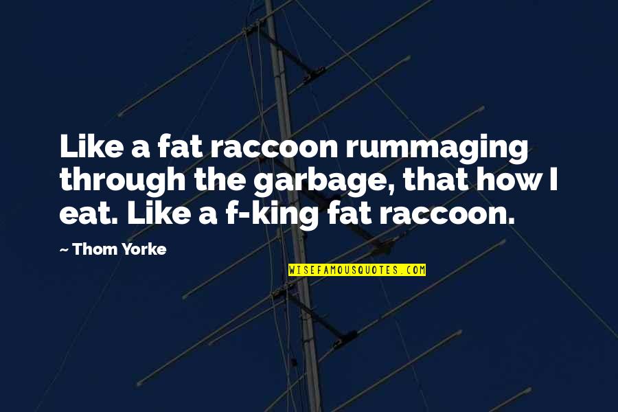 Chuwattana Gym Quotes By Thom Yorke: Like a fat raccoon rummaging through the garbage, Chuwattana Gym Quotes By Thom Yorke: Like a fat raccoon rummaging through the garbage,