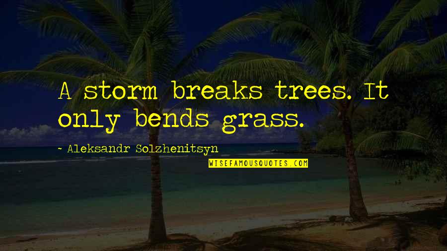 Chylek Litvinov Quotes By Aleksandr Solzhenitsyn: A storm breaks trees. It only bends grass.