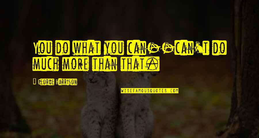 Chylek Litvinov Quotes By George Harrison: You do what you can--can't do much more