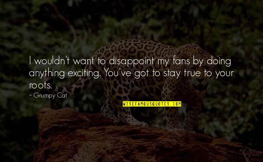 Chymists Quotes By Grumpy Cat: I wouldn't want to disappoint my fans by