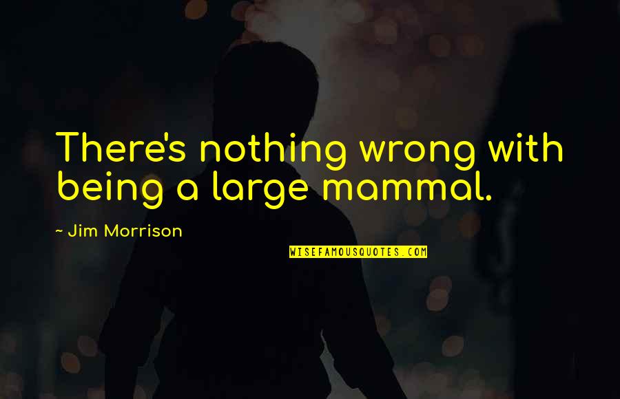 Ciancaglini Philly Mob Quotes By Jim Morrison: There's nothing wrong with being a large mammal.