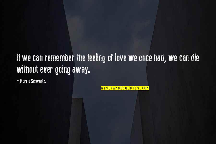 Ciao Manhattan Quotes By Morrie Schwartz.: If we can remember the feeling of love