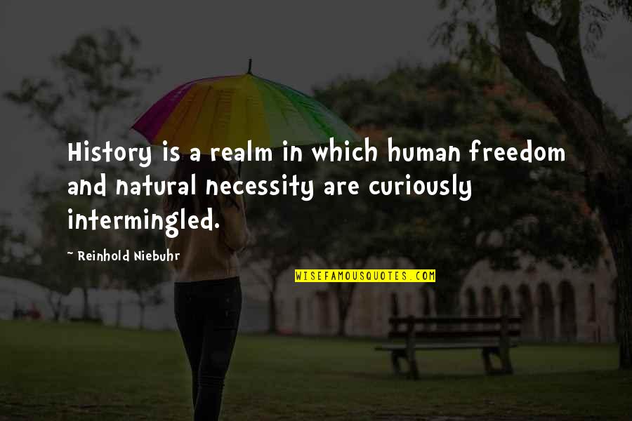 Ciarus Quotes By Reinhold Niebuhr: History is a realm in which human freedom