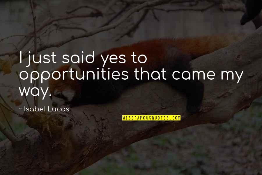 Ciatta Baysah Quotes By Isabel Lucas: I just said yes to opportunities that came