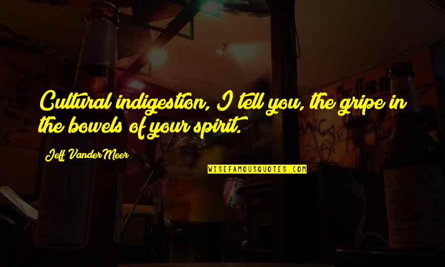 Cibelle Mancini Quotes By Jeff VanderMeer: Cultural indigestion, I tell you, the gripe in