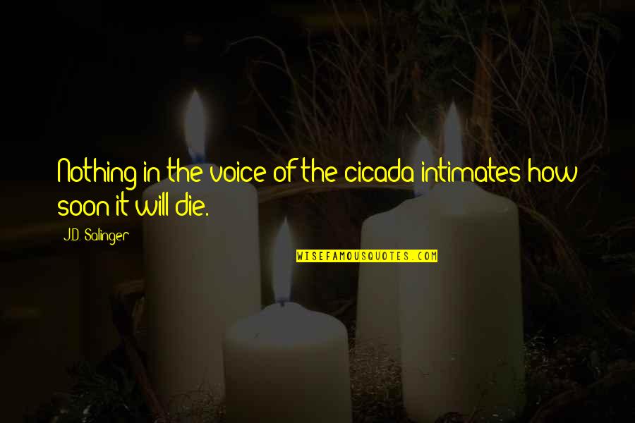 Cicada Quotes By J.D. Salinger: Nothing in the voice of the cicada intimates