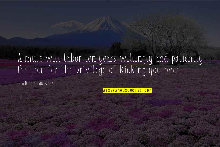 Ciccio Cali Quotes By William Faulkner: A mule will labor ten years willingly and Ciccio Cali Quotes By William Faulkner: A mule will labor ten years willingly and