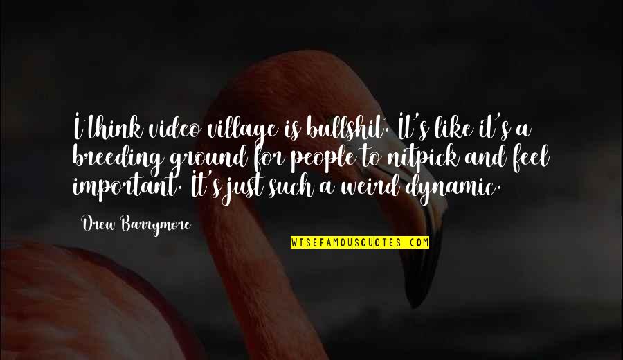 Cicconi Farms Quotes By Drew Barrymore: I think video village is bullshit. It's like Cicconi Farms Quotes By Drew Barrymore: I think video village is bullshit. It's like