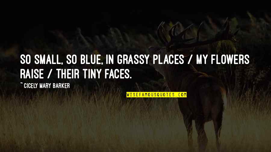 Cicely Quotes By Cicely Mary Barker: So small, so blue, in grassy places /