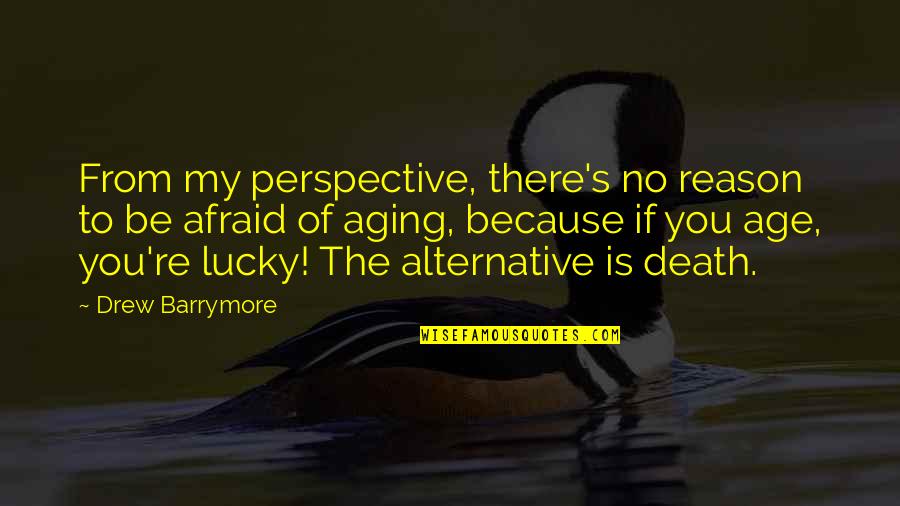 Cicernak Quotes By Drew Barrymore: From my perspective, there's no reason to be Cicernak Quotes By Drew Barrymore: From my perspective, there's no reason to be