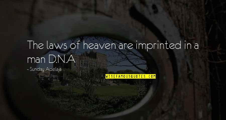 Cichy Co Quotes By Sunday Adelaja: The laws of heaven are imprinted in a