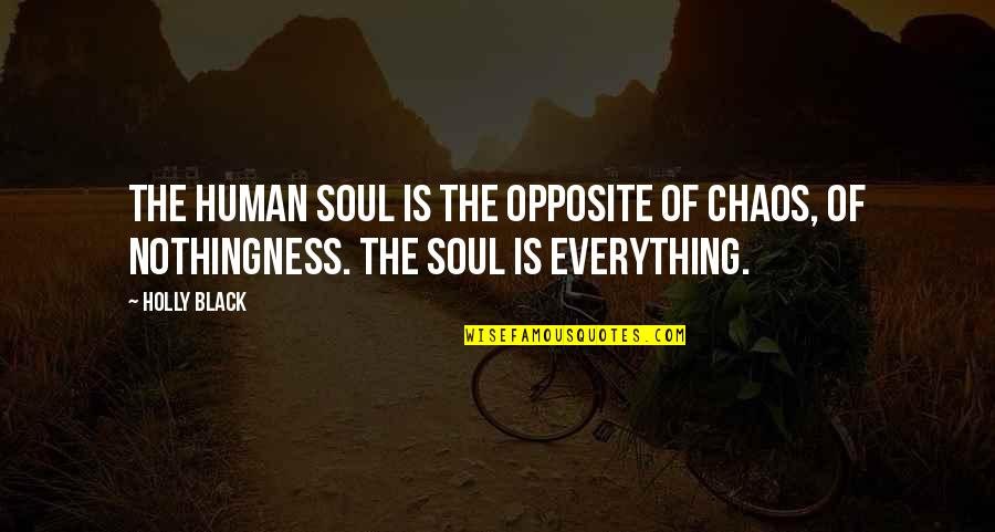 Ciclo Quotes By Holly Black: The human soul is the opposite of chaos,