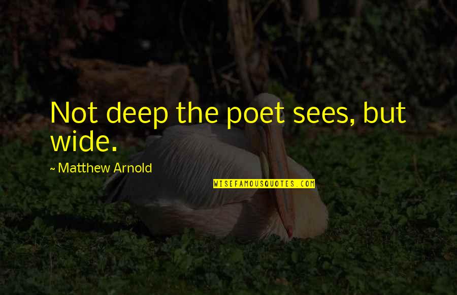 Cidade De Vidro Quotes By Matthew Arnold: Not deep the poet sees, but wide.