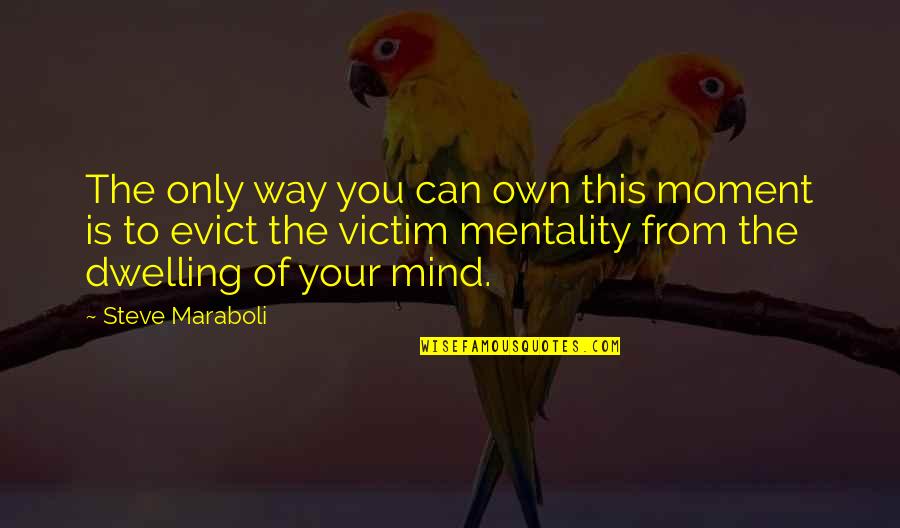 Cientifico Quotes By Steve Maraboli: The only way you can own this moment Cientifico Quotes By Steve Maraboli: The only way you can own this moment