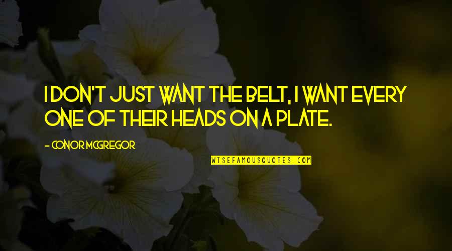 Cieple Jeziora Quotes By Conor McGregor: I don't just want the belt, I want