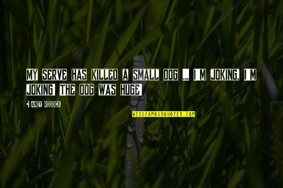 Cierra Los Ojos Quotes By Andy Roddick: My serve has killed a small dog ...