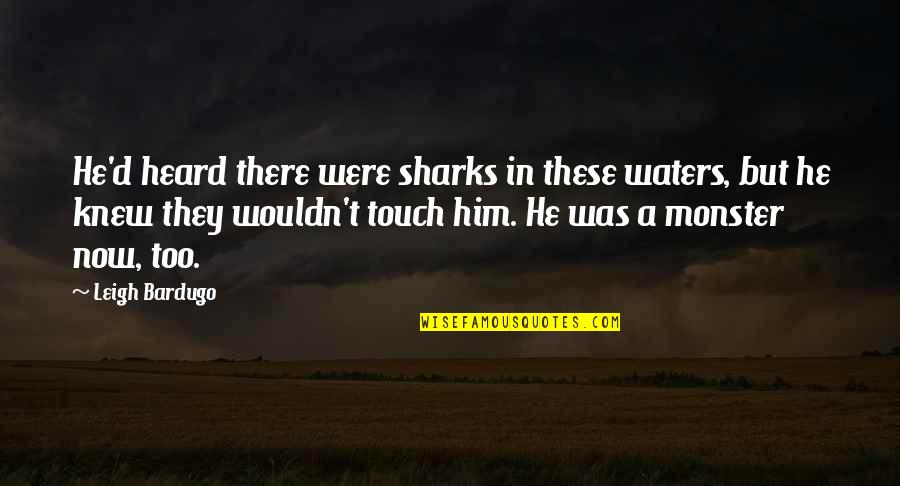 Cierres Lynsa Quotes By Leigh Bardugo: He'd heard there were sharks in these waters,