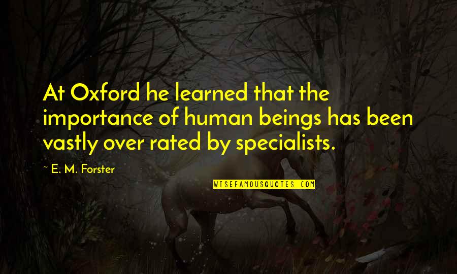 Cierva Autogiro Quotes By E. M. Forster: At Oxford he learned that the importance of Cierva Autogiro Quotes By E. M. Forster: At Oxford he learned that the importance of