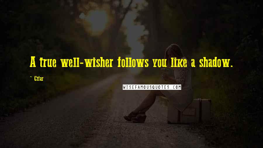 Cifar quotes: A true well-wisher follows you like a shadow.