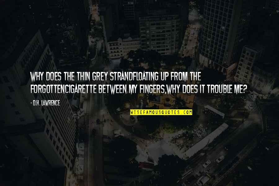 Cigarette Quotes By D.H. Lawrence: Why does the thin grey strandFloating up from Cigarette Quotes By D.H. Lawrence: Why does the thin grey strandFloating up from