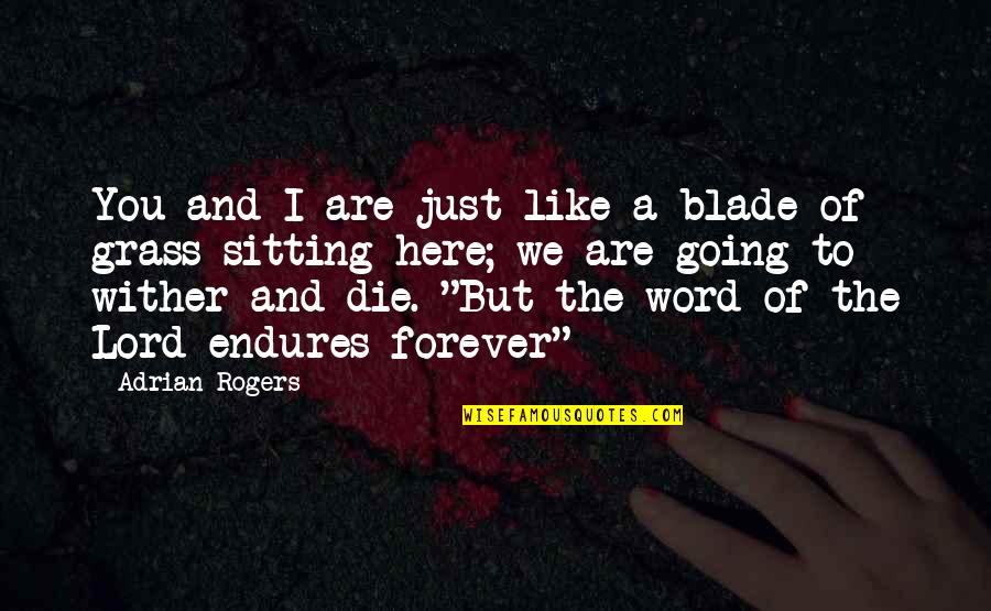 Cigarini Accident Quotes By Adrian Rogers: You and I are just like a blade