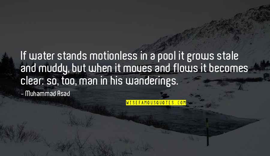 Ciggies Electronic Cigarette Quotes By Muhammad Asad: If water stands motionless in a pool it Ciggies Electronic Cigarette Quotes By Muhammad Asad: If water stands motionless in a pool it