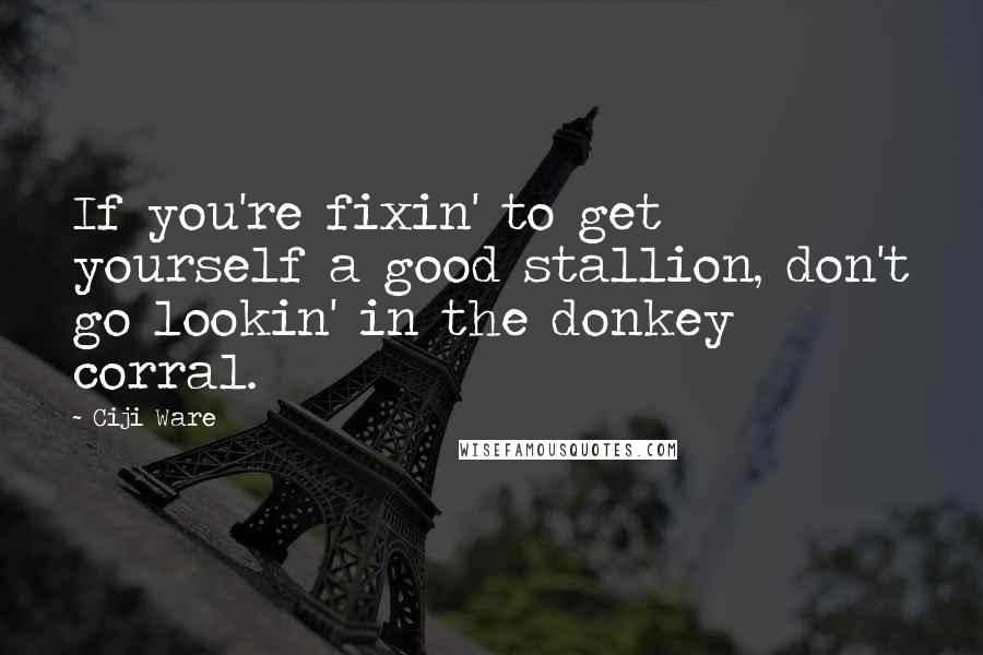 Ciji Ware quotes: If you're fixin' to get yourself a good stallion, don't go lookin' in the donkey corral.