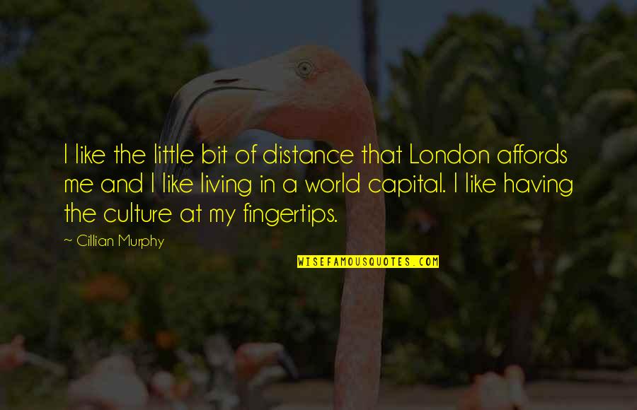 Cillian Murphy Best Quotes By Cillian Murphy: I like the little bit of distance that Cillian Murphy Best Quotes By Cillian Murphy: I like the little bit of distance that