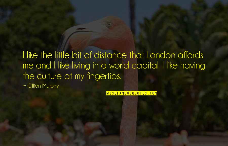 Cillian Murphy Quotes By Cillian Murphy: I like the little bit of distance that
