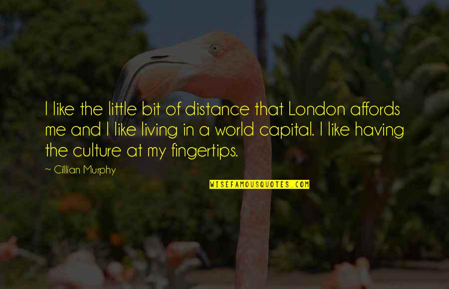 Cillian Quotes By Cillian Murphy: I like the little bit of distance that