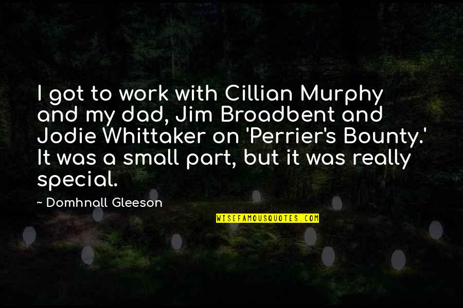 Cillian Quotes By Domhnall Gleeson: I got to work with Cillian Murphy and
