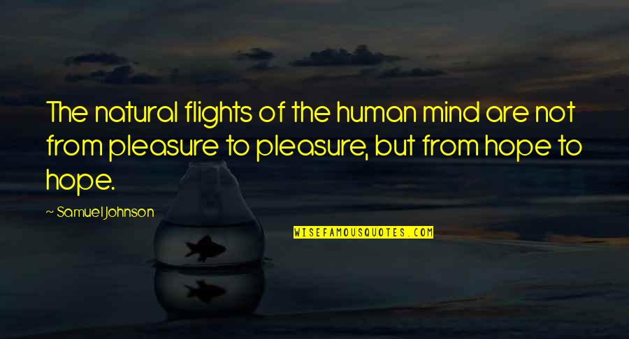Cinches Quotes By Samuel Johnson: The natural flights of the human mind are